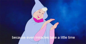 miracle,because even miracles take a little time,disney,time,magic,cinderella,patience,patient,even miracles take a little time