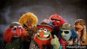 the muppets