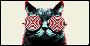 spinning,cat,trippy,glasses