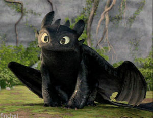 toothless,t of the nightfury,how to train your dragon