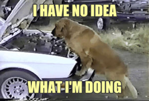 mechanic,i have no idea what im doing,dog