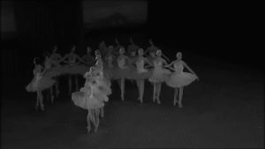 swan lake,ballet,en pointe,art design,ballerina