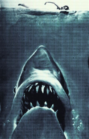fish,shark,jaws,shark week,movies,movie,horror,scary,steven spielberg,old movies