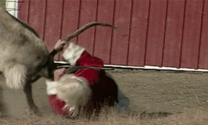 christmas,reindeer,pain,christmas fail,fail,fight,santa,rudolph
