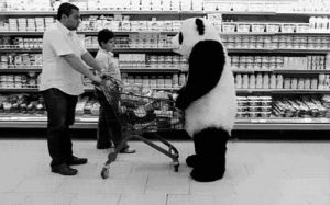 panda,funny,black and white,alone,lonely,depressive