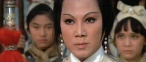 women warriors,shaw brothers,martial arts,ready,kung fu,the 14 amazons