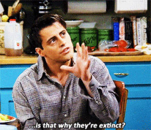 haha,shocked,wtf,homo sapiens,funny,joey,lol,fun,friends,tv show,people,show,actor,joey tribbiani,ross geller,ross,david schwimmer,sitcom,face palm,homo,not judging,mat le blanc,venner,old time