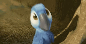 disney,pixar,blue,bird,rio movie,blu,dace