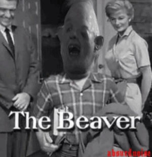 the goonies,goonies,leave it to beaver,the beaver,tv,absurdnoise,80s movies,sloth