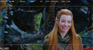 the hobbit cast,tauriel,evangeline lilly,hobbitedit,hobbit cast,the hobbit bts,the hobbit behind the scenes,trent to brett,otheractors,please dont get arrested before saturday