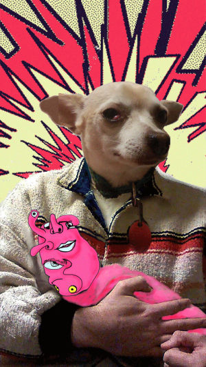 collage,chihuahua,artists on tumblr,portrait,randy,pixilation