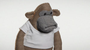 come on,result,pg tips,yes,pgtips,monkey,pumped,get in,morning moods,morningmoods
