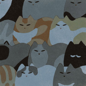 cute cat,zen,crazy cat lady,cat,illustration,kitten,meow,wake up,mondays,quiet,peaceful,mornings,cat lady,catlady,jeannie phan,women illustrator,sleepy cats,awake the beast