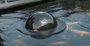 trippy,look,take,floating,pond,dome