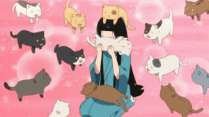 anime cat,cat,anime girl,anime cute,funny,anime,cats,cat girl,anime art,my stuff 0