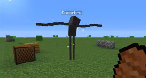 minecraft,enderman,game,wtf,video games,wtf is this,wtf is that,cartoons comics