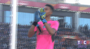 sports,soccer,clapping,applause,thanks,thank you,clap,tfc,goalkeeper,toulouse fc,applaud,ligue1,lafont