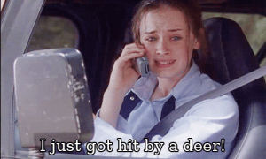 tv,girl,crying,scared,season 1,gilmore girls,driver,alexis bledel,rory gilmore,frantic,01x04,the deer hunters