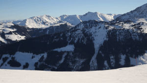 skiing,snow,winter,bye,goodbye,drop,ski,gone,disappear,dust,tirol,tyrol