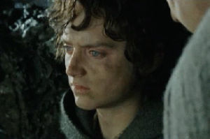 the lord of the rings,frodo,funny,sad,friends,people,hate,hobbit,elf,discussion,expression,galadriel