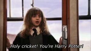 hermione granger,harry potter,hp