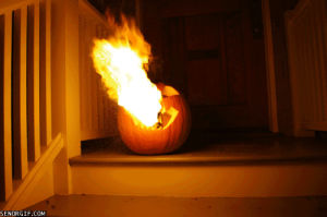 nature,win,pumpkin,flamethrower,biker gang