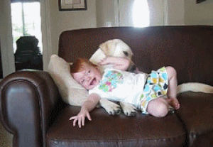 animals,lick,baby,couch,love,cute,dog
