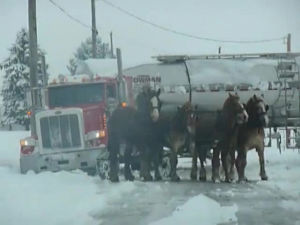 snow,horse,truck,buggy,tanker