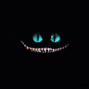 scary,black,eyes,smile,cat,big eyes,scary cute,were all a little mad