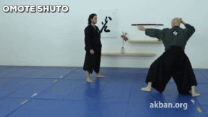 martial arts,mma,krav maga,instructional,kata,ninjutsu,taijutsu,budo,akban,traditional mma