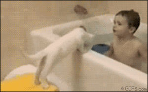 cat,pull,bathtub,tub,kid,comedy gold yo