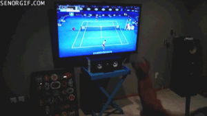 watching,tv,dog,dogs,tennis