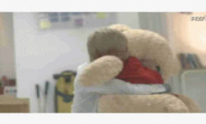 hug,t,toy,teddy bear,dongho