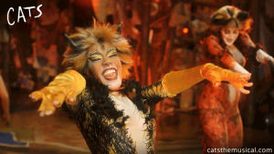 excited,cats,musical,fabulous,demeter
