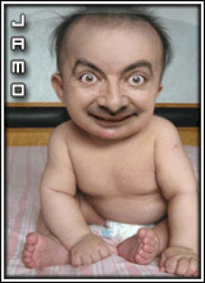 Nbc Funny Zitat Gif On Gifer By Dujas