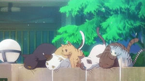 sakurasou no pet na kanojo,cat,anime,usagi sailor moon