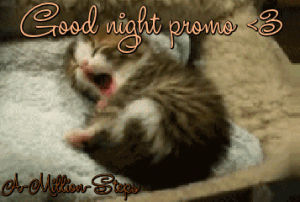 good night,kitten,promo,fitanne