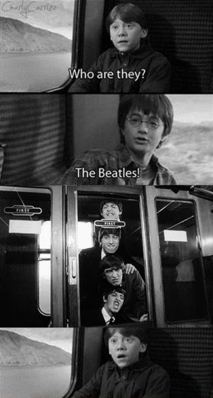 the beatles,harry potter,the bealtles