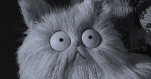 film,features,total film,tim burton,meow,movies,scared,film features,furry,frankenweenie,cat