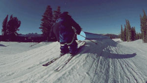 skiing,ski,snowboarding,freeski