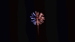 fireworks,4th of july,firework,stars,fourth of july,red white and blue,god bless,united states of america,united states,liberty,blue,red,free,america,white,home,flag,boom,july,nation,freedom,brave,happy fourth of july