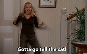 sabrina the teenage witch,tv,cat,television,90s