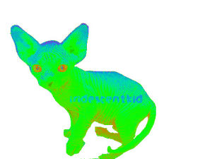 chihuahua,transparent,cat,animals,dog,trippy,psychedelic,kitty,trip,glowing,sphynx