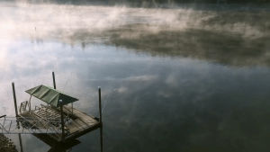 cinemagraph,fog,new,day,morning,first,year,lake