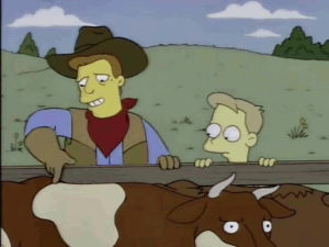 troy mcclure,meat,beef,cows,timmy,bovine university,the meat council,meat and you partners in freedom,simpsons