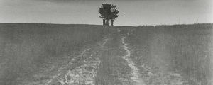 andrei trakovsky,andrei rublev,black and white,tree,forest