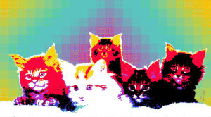 cat,trippy,psychedelic,neon,colorful
