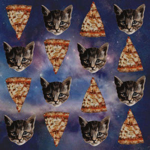 pizza,gatos,space cat,cats,i love cats,galaxy cat