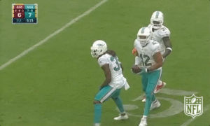 paysinger,miami dolphins,football,nfl,throw it up,now you see it now you dont,toss it up,spencer paysinger