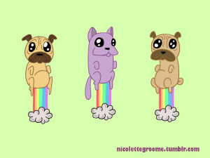 pug,cat,animation,rainbow,puppies